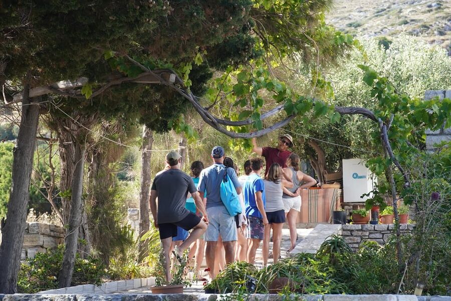 Naxos: Kampos Farm Sea Kayak Tour with Snorkeling & Picnic - Price and what $159 really buys you