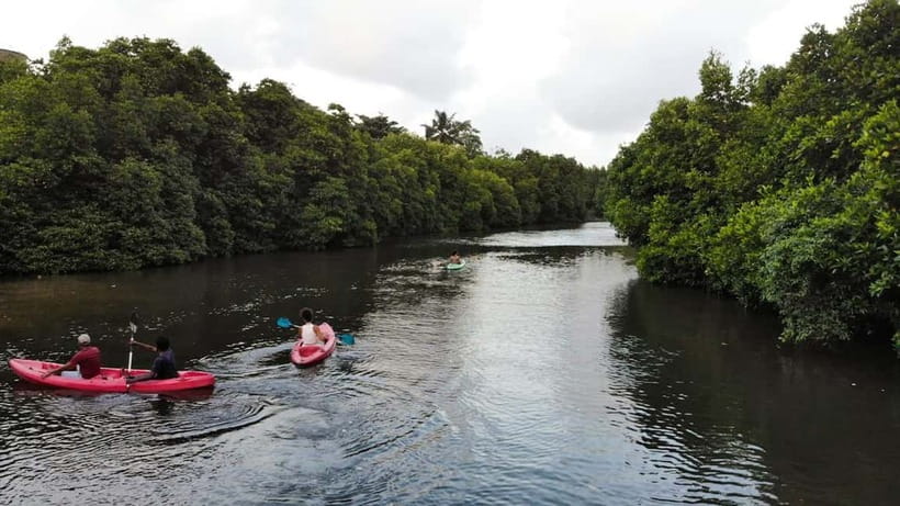 Negombo: Guided Kayaking Tour in the Lagoon - Key Highlights I Think You’ll Actually Care About