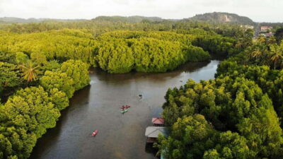 Negombo: Guided Kayaking Tour in the Lagoon - Captain’s Landing Start: A Quick Safety Intro That Helps First-Timers
