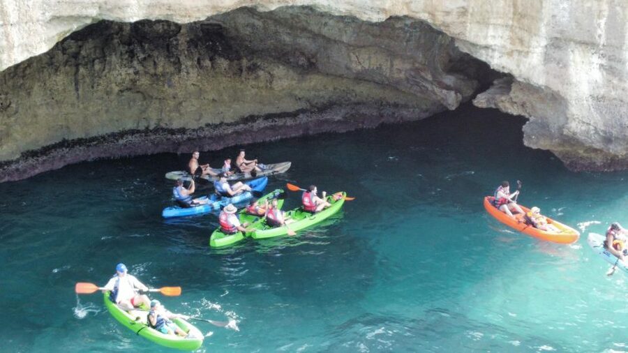 Nerja: Free Kayak Route along the cliffs of Nerja and Maro - What You’ll Likely See: Clear Water, Fish, and Quiet Corners