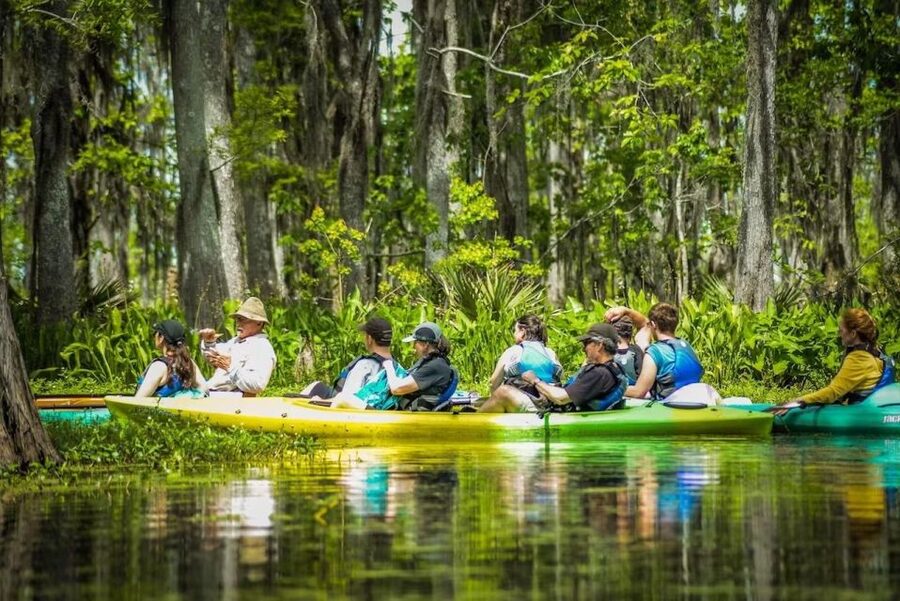 New Orleans: Manchac Magic Kayak Swamp Tour - Two Hours of Bayou Quiet From New Orleans