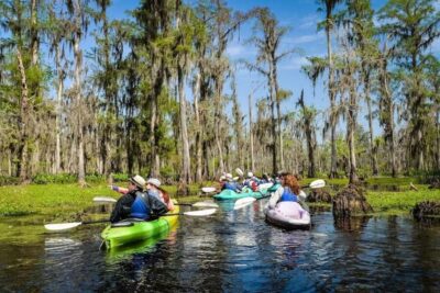New Orleans: Manchac Magic Kayak Swamp Tour - How the Paddle Works: Cypress Swamps of the Manchac Area