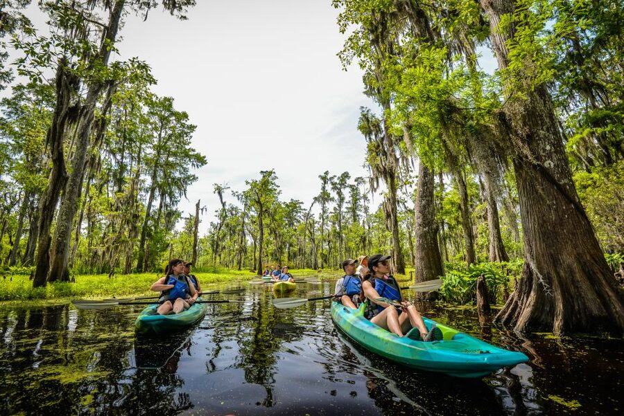 New Orleans: Manchac Magic Kayak Swamp Tour - Logistics That Affect Your Experience (Pickup, Timing, and Setup)