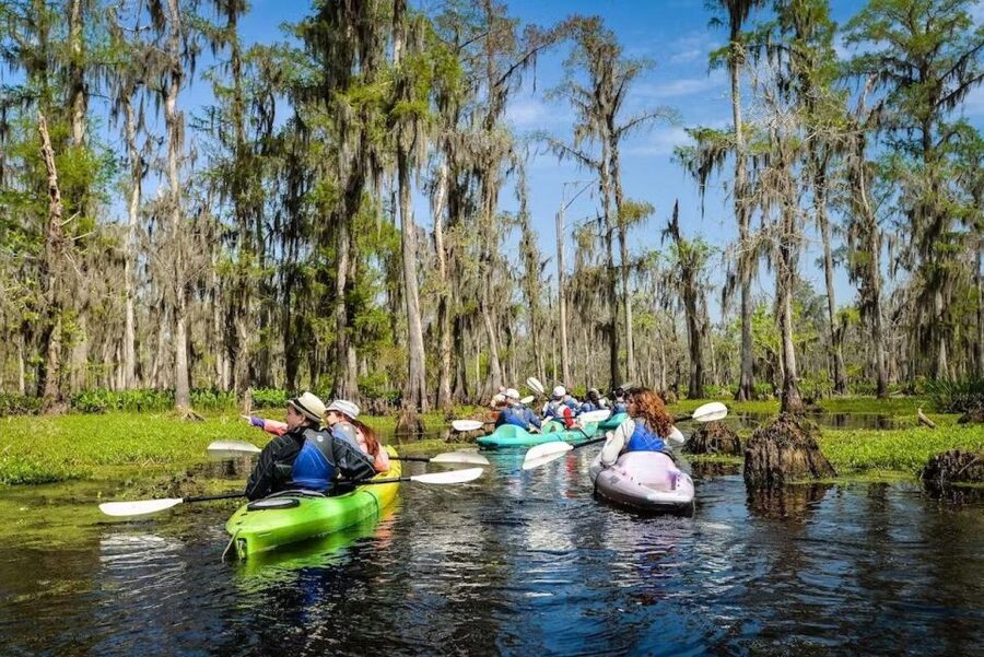New Orleans: Manchac Magic Kayak Swamp Tour - How the Paddle Works: Cypress Swamps of the Manchac Area