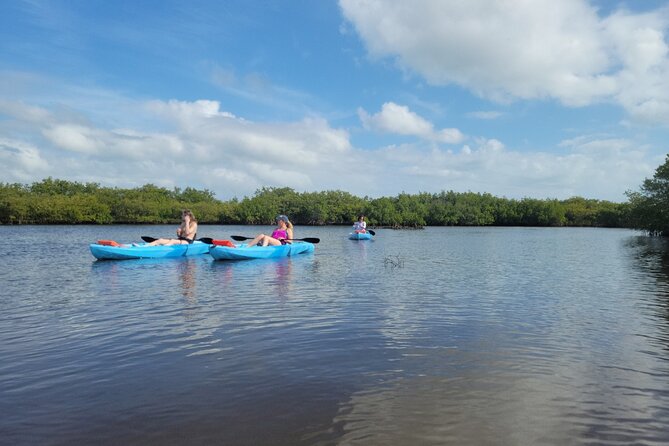 New Smyrna Dolphin and Manatee Kayak and SUP Adventure Tour - Entering the New Smyrna waterways: why this feels different