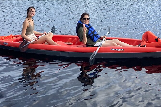 New Smyrna Dolphin and Manatee Kayak and SUP Adventure Tour - Kayak vs SUP: what changes your view