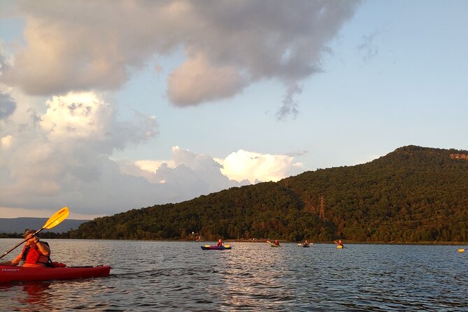 Nickajack Bat Cave Kayak Tour with Chattanooga Guided Adventures - Gray Bats 101: Why This Cave Matters and What’s at Risk
