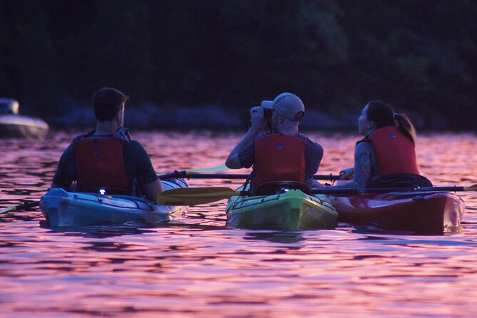 Nickajack Bat Cave Kayak Tour with Chattanooga Guided Adventures - What the Guides Do That Makes It Worth Your Time