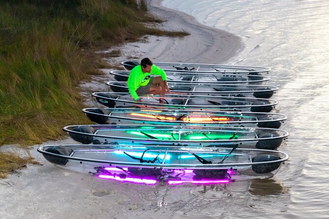 Night Glow Kayak Paddle Session in Key West, FL - What you’re likely to see: rays, jellyfish, and glow fish