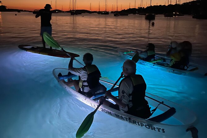 Night Kayak Tour St. John - Westin Resort - Wildlife Highlights: Tarpon, Ballyhoo, Stingrays, and Surprise Moments