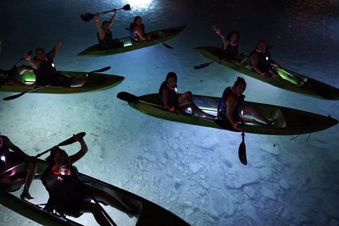 Night Kayak Tour St. John - Westin Resort - Guides Are the Secret Ingredient: Bernard, Sam, Spencer, and Fawn