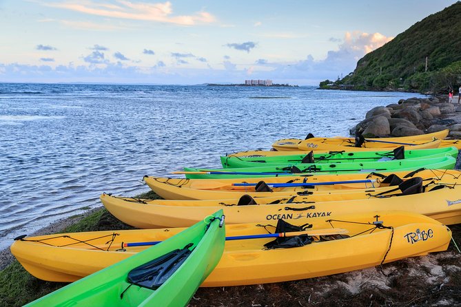 Night Kayaking Experience on Bioluminescent Lagoon in Fajardo - Why Fajardo’s Bio Bay glow looks different in real life
