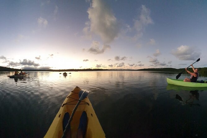 Night Kayaking Experience on Bioluminescent Lagoon in Fajardo - Mangroves and glowing water: what you’ll actually see at night