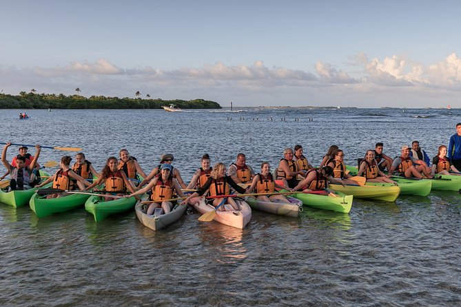 Night Kayaking Experience on Bioluminescent Lagoon in Fajardo - Guides, safety, and pacing: where the tour earns its score