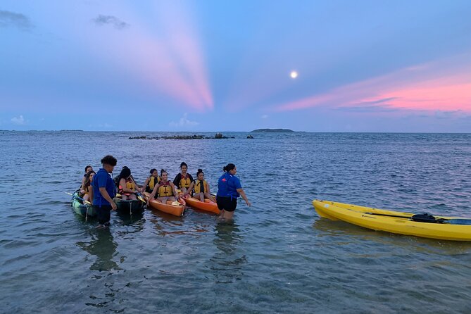 Night Kayaking Experience on Bioluminescent Lagoon in Fajardo - Accessibility and the swim rule: who this works best for