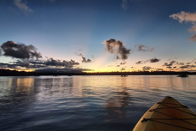Night Kayaking Experience on Bioluminescent Lagoon in Fajardo - Should you book this night kayaking in Fajardo’s Bio Bay?