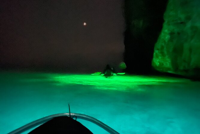 Night Kayaking with Liquid Glow - Key Highlights Worth Showing Up For