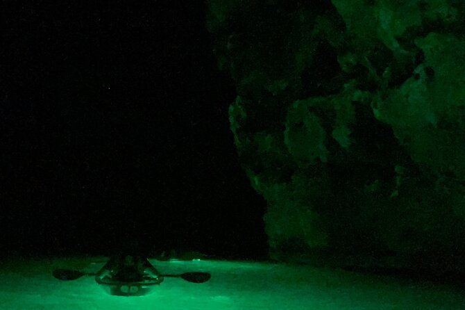 Night Kayaking with Liquid Glow - Who Should Book This Night Kayaking Trip?