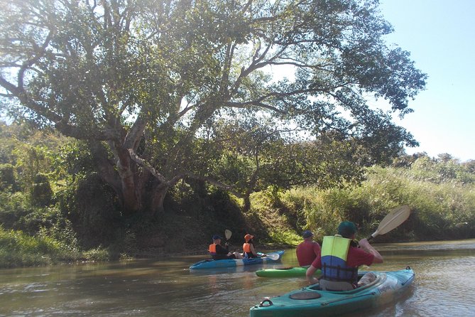 No.1 Chiang Mai: Leisure River Kayaking: Mae Taeng forest Reserve - Getting Your Bearings at the Kayak Pro-Shop