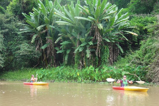 No.1 Chiang Mai: Leisure River Kayaking: Mae Taeng forest Reserve - Practical Notes That Save You Headaches