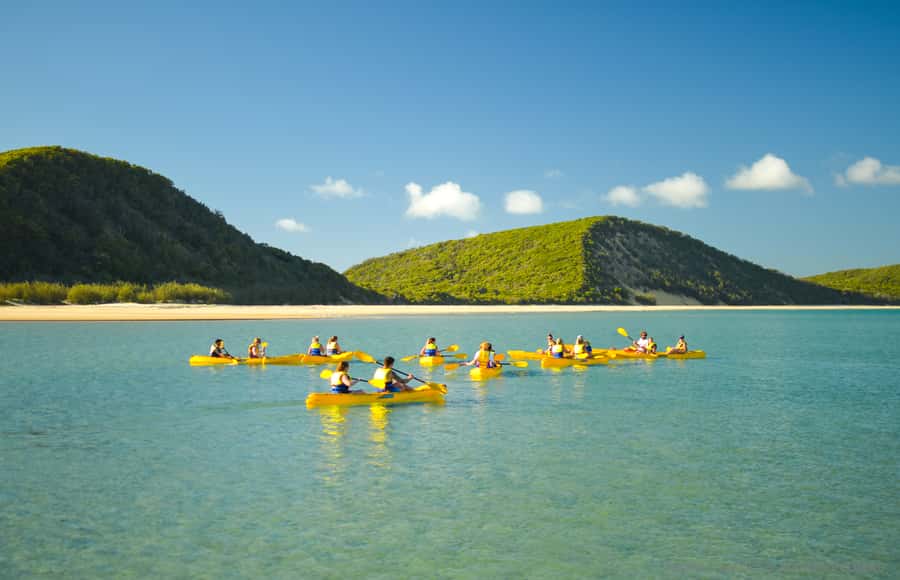 Noosa: Epic Ocean Kayak with Dolphins & 4WD Beach Adventure - Who should book, and who should skip
