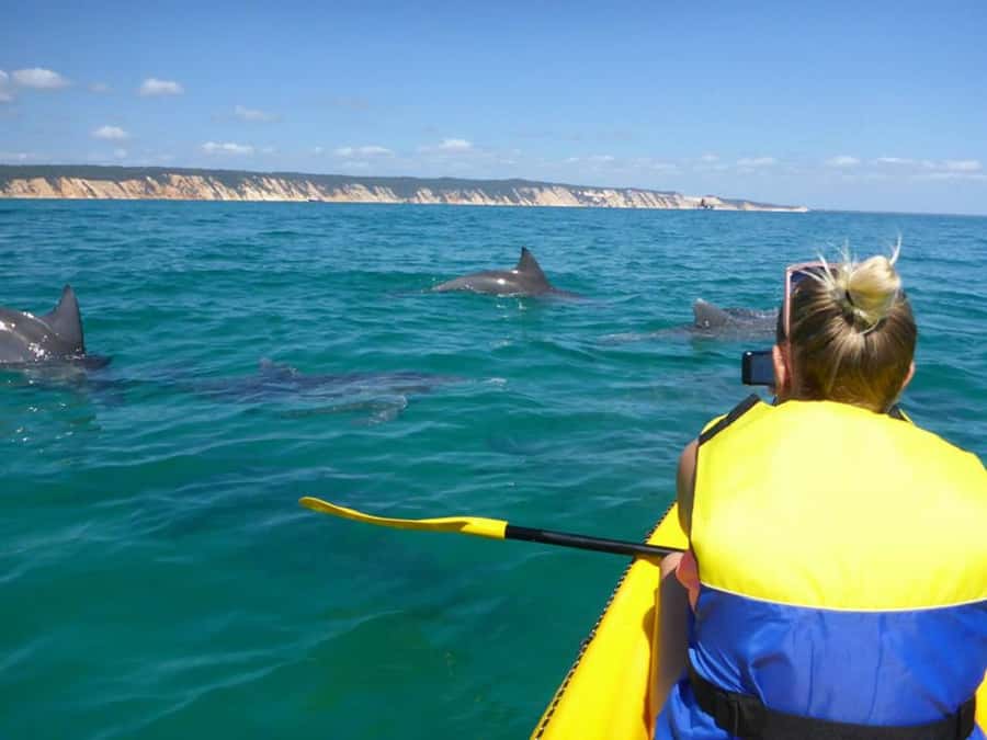 Noosa: Epic Ocean Kayak with Dolphins & 4WD Beach Adventure - Noosa to Double Island Point: the two-part adventure that actually works