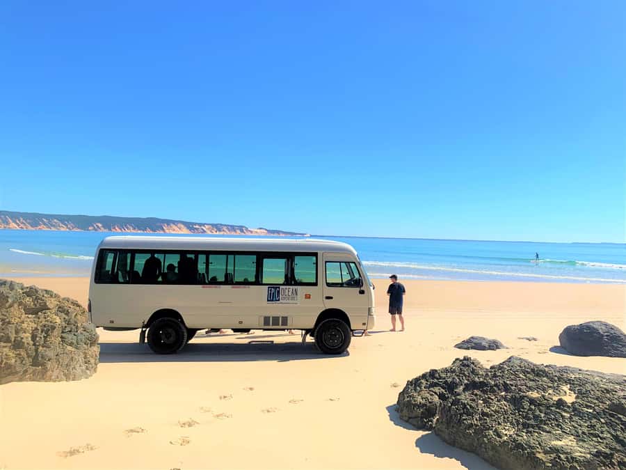 Noosa: Epic Ocean Kayak with Dolphins & 4WD Beach Adventure - When humpback whales are in the picture (June to November)