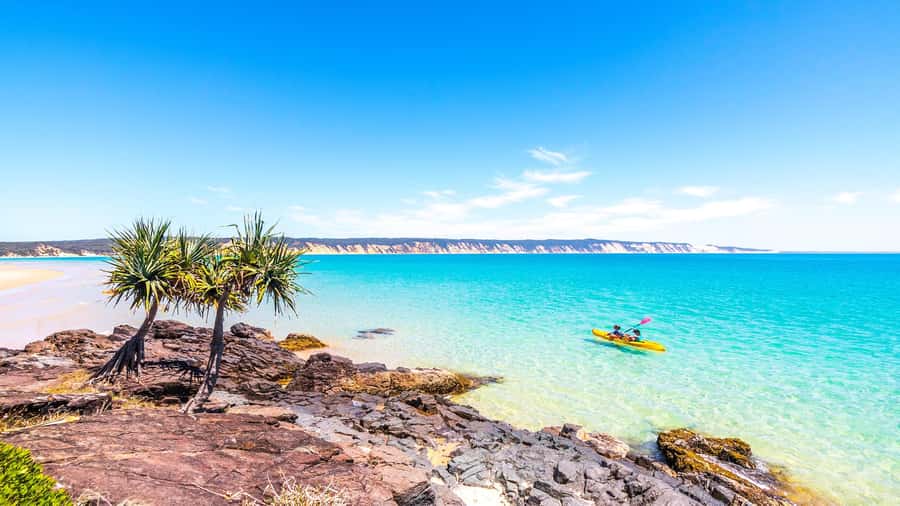 Noosa: Epic Ocean Kayak with Dolphins & 4WD Beach Adventure - Guides and group vibe: Vince, Tyron, Cam, and how they run the day