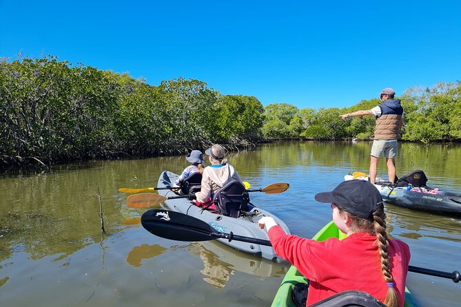 Noosa Everglade Kayak -South/Noosa End - Searching for Stingrays! - Key things that make this kayak tour worth your time