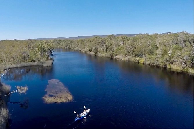 Noosa Everglade Kayak -South/Noosa End - Searching for Stingrays! - Price and value: does $56.66 feel fair?
