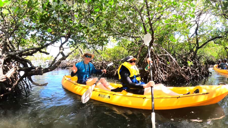 Noosa Heads: Hidden Waterways Wildlife Kayak (Self-Guided) - Weyba’s mangrove tunnels: the calm you can feel in your shoulders