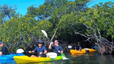 Noosa Heads: Hidden Waterways Wildlife Kayak (Self-Guided) - The self-guided flow: briefing, map, and staying on the right track