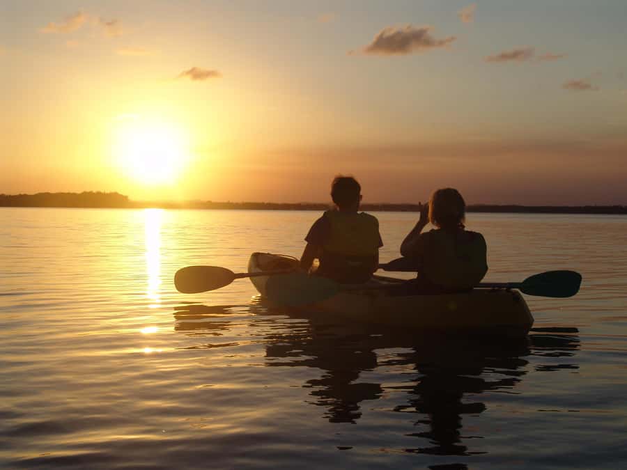 Noosa Heads: Hidden Waterways Wildlife Kayak (Self-Guided) - Optional swim stop: refreshing when the creek is clear