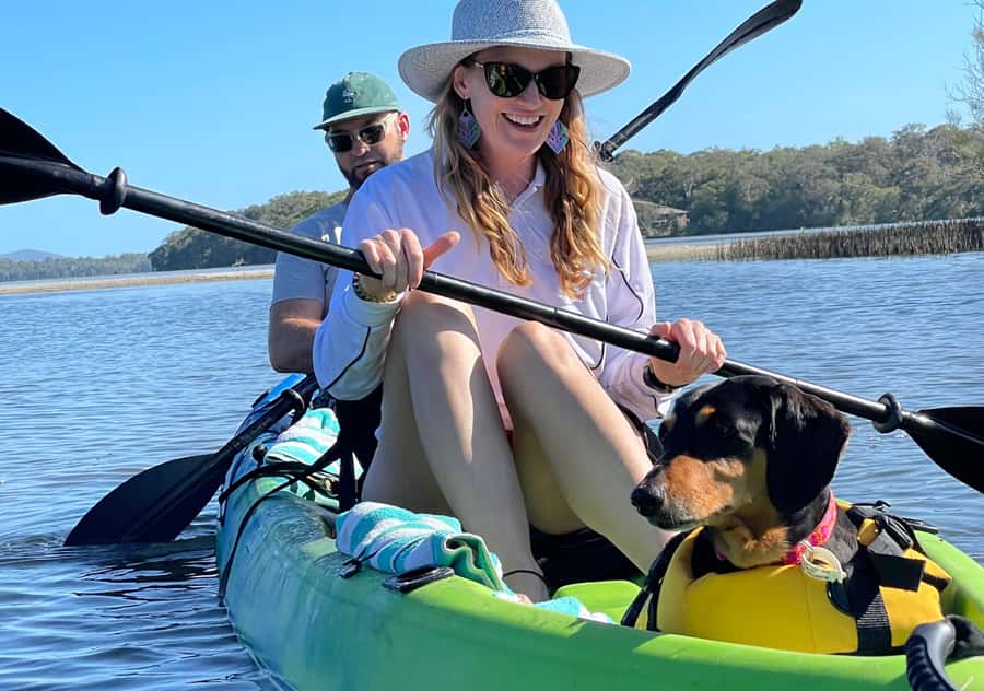 Noosa: Noosa Everglades and Stingray Sanctuary Kayak Tour - Key highlights at a glance