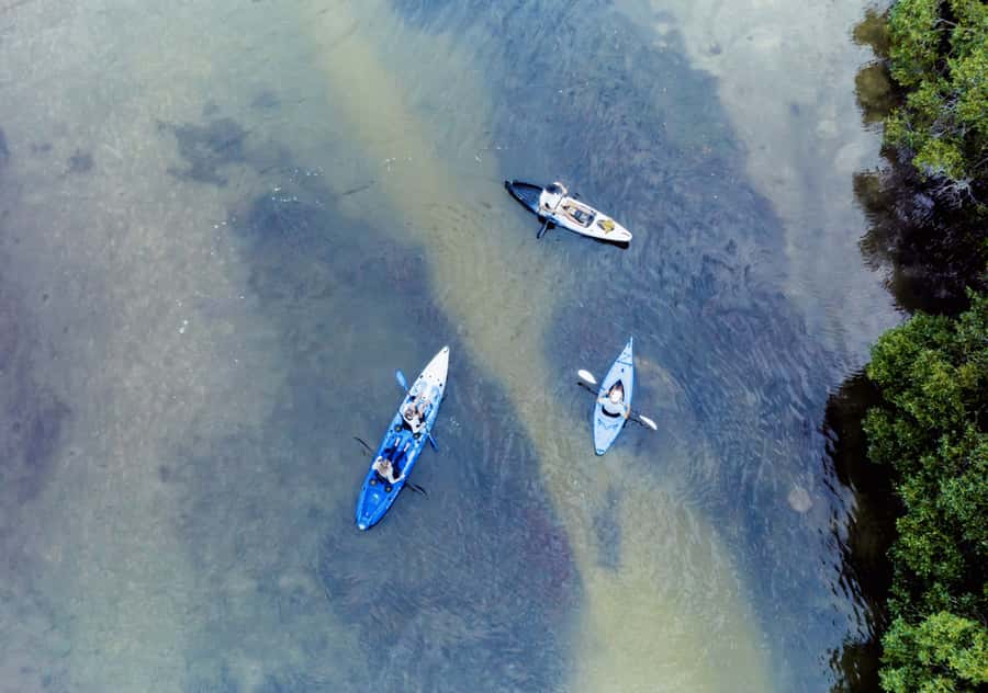 Noosa: Noosa Everglades and Stingray Sanctuary Kayak Tour - Why this Noosa kayak tour feels different