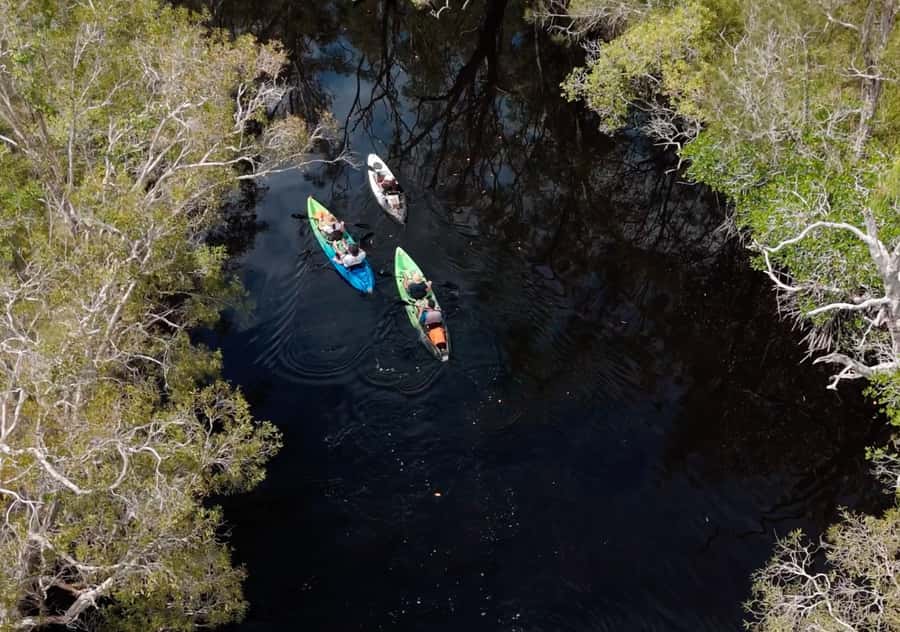 Noosa: Noosa Everglades and Stingray Sanctuary Kayak Tour - Where you start (and why the meeting point matters)