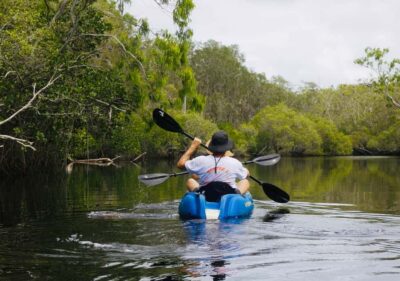 Noosa: Noosa Everglades and Stingray Sanctuary Kayak Tour - Price and what you actually get for $105