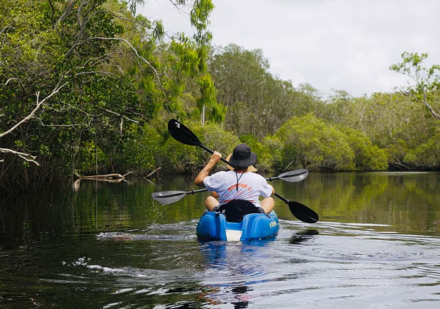 Noosa: Noosa Everglades and Stingray Sanctuary Kayak Tour - Price and what you actually get for $105