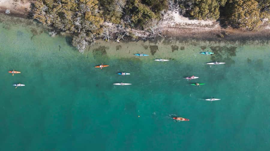 Noosa River: Mangroves and Mansions Guided Kayak Tour - Why the Noosa River feels made for kayaking