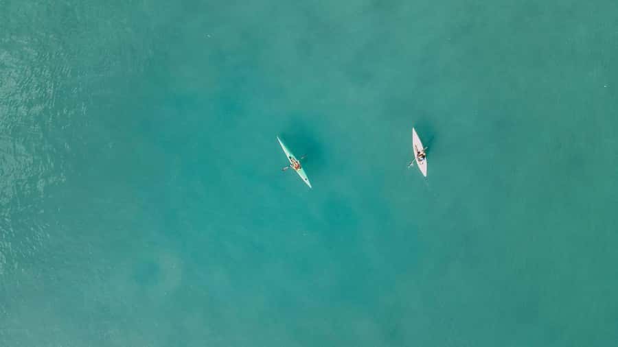 Noosa River: Mangroves and Mansions Guided Kayak Tour - The 2-hour flow: from first strokes to Noosa Sound views