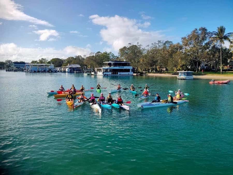 Noosa River: Mangroves and Mansions Guided Kayak Tour - The Noosa Lions Park break near Hastings Street