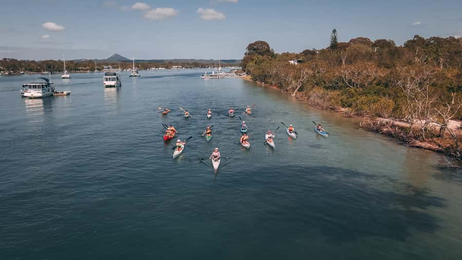 Noosa River: Mangroves and Mansions Guided Kayak Tour - Price and value: is $59 worth 2 hours on the water?