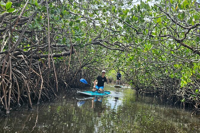 Noosa Stand Up Paddle Group Lesson - Price and value: is $53.79 a good deal for this setup?