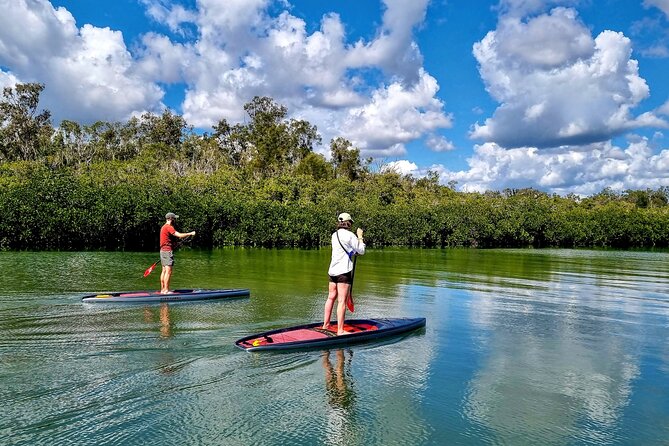 Noosa Stand Up Paddle Group Lesson - What to expect on the day: equipment, safety, and pacing