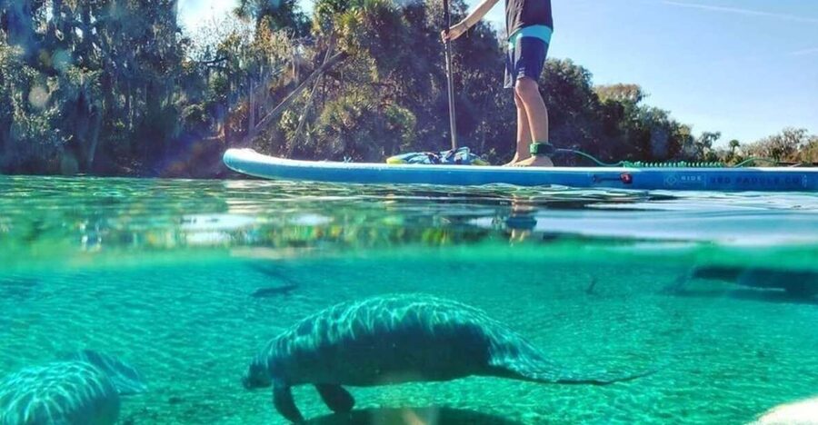 North Miami: Nature & Island Exploration on SUP/Kayak - Key Things That Make This Tour Worth Your Time