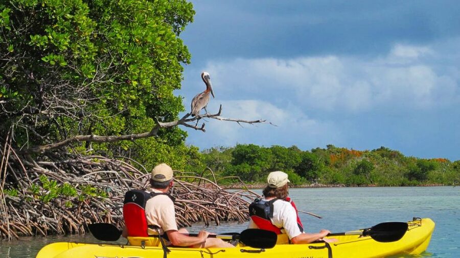 North Miami: Nature & Island Exploration on SUP/Kayak - Getting There: Venetian Marina, the CATARIA Boat, and the 30-Min Rule