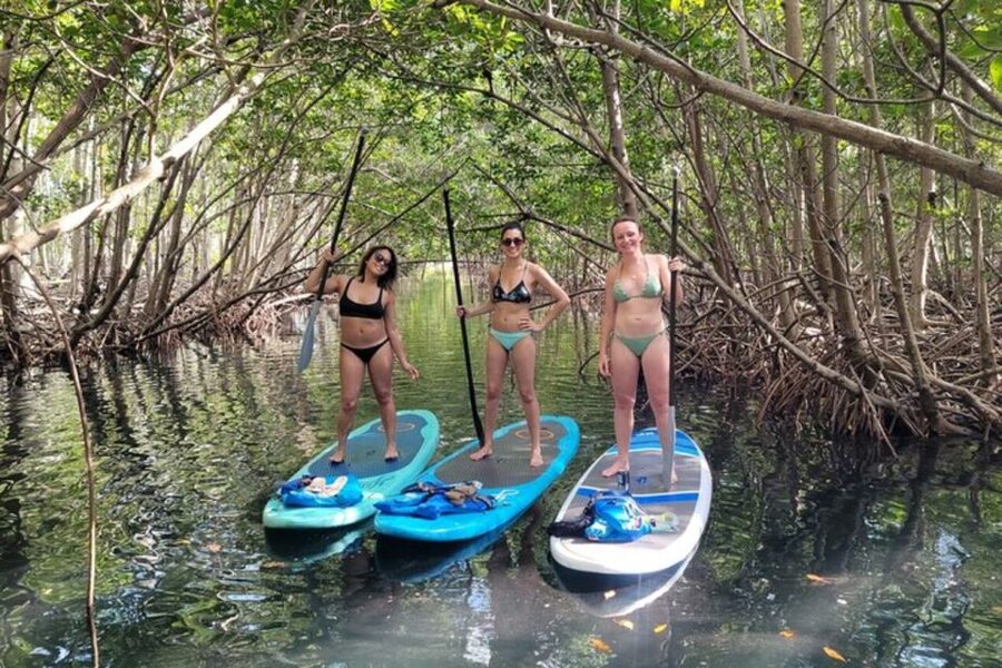 North Miami: Nature & Island Exploration on SUP/Kayak - Paddling Through Mangrove Canals and the Osprey Triangle Route