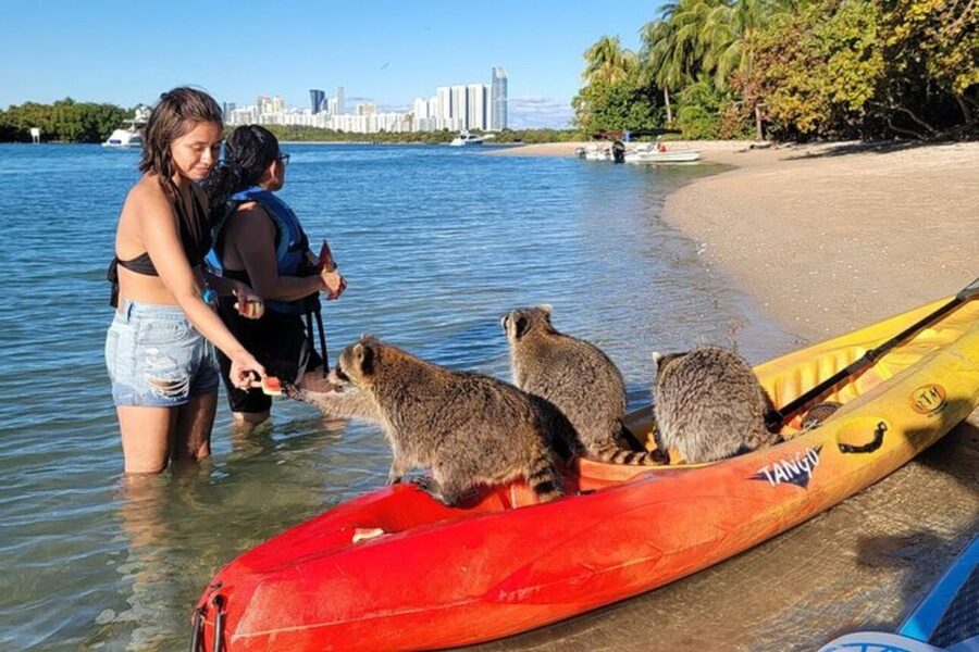 North Miami: Nature & Island Exploration on SUP/Kayak - The Island Break: Snacks, Cold Drinks, and Time to Swim or Try Snorkeling