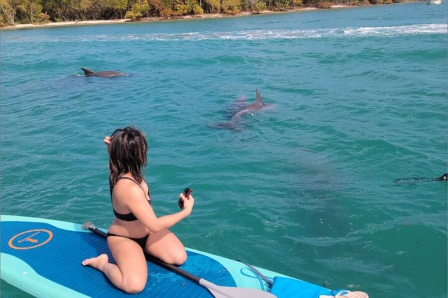 North Miami: Nature & Island Exploration on SUP/Kayak - Price and Value: What $99 Buys You (and What It Doesn’t)