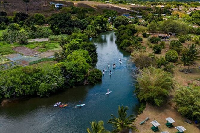 North Shore Farm: Anahulu River, Kayak-Sup, Turtles, Lunch & More - Tsue’s Farm Haleiwa: where check-in sets the tone